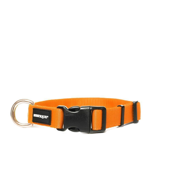 Mystique® Nylon Halsband Profi 25mm neonorange 40-50cm messing