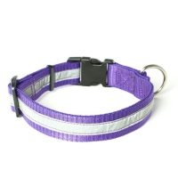 Mystique® Nylon Halsband Profi reflex 25mm lila 50-60cm