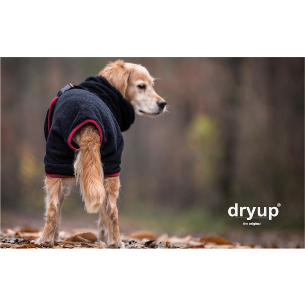 Dryup Cape black Hundebademantel aus Frottee, 39,90