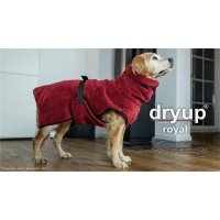 Dryup Cape Royal bordeaux S(56cm)