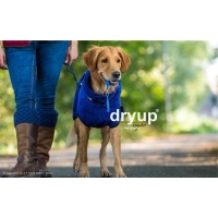 Dryup Cape blueberry L (65cm)