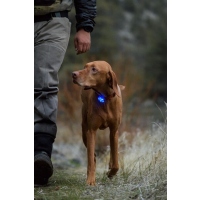 Ruffwear The Beacon Licht Clear Lake