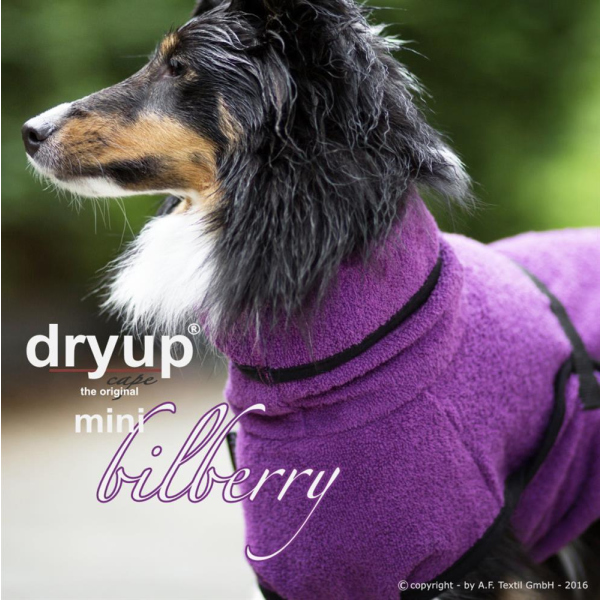 Dryup Cape Mini bilberry 45 cm