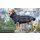 Warmover Karo Fleece Cape dark blue S (59cm)