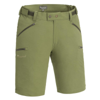 Pinewood 5403 Brenton Shorts Blattgrün (732) C56