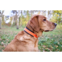 Farm-Land Hunde Schweißhalsung Signalorange XL 48-60cm