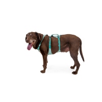 Ruffwear Flagline Geschirr Sage Green XXS