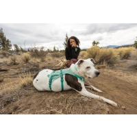 Ruffwear Flagline Geschirr Sage Green XXS