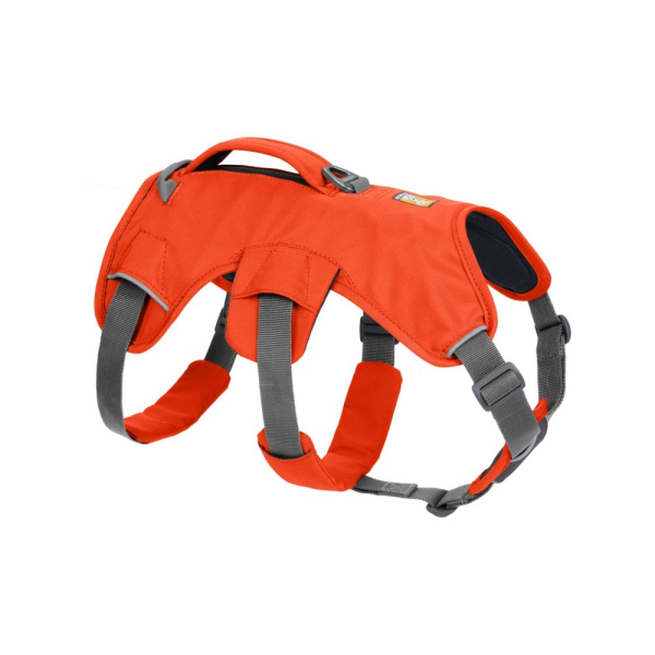 Ruffwear Web Master Geschirr Blaze Orange XXS