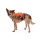 Ruffwear Web Master Geschirr Blaze Orange XXS