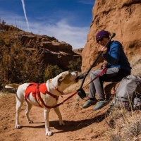 Ruffwear Web Master Geschirr Red Sumac XXS