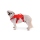 Ruffwear Web Master Geschirr Red Sumac XXS