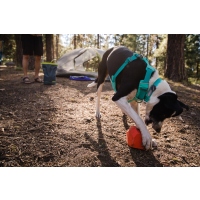 Ruffwear Front Range Geschirr Aurora Teal