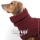 Dryup Cape bordeaux S (56cm)