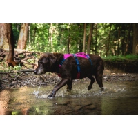 Ruffwear Flagline Geschirr Alpenglow Pink XXS