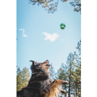 Ruffwear Toadstool Spielzeug Gray Sky