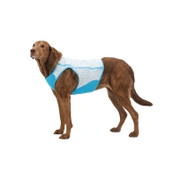 Ruffwear Swamp Cooler Zip Weste Biolumin Blue