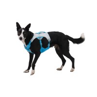 Ruffwear Swamp Cooler Geschirr Biolumin Blue