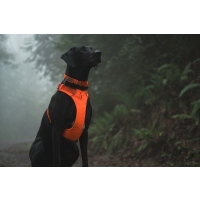 Ruffwear Front Range Halsband Blaze Orange