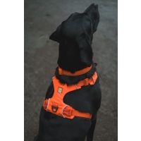 Ruffwear Front Range Geschirr Blaze Orange