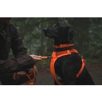 Ruffwear Front Range Geschirr Blaze Orange